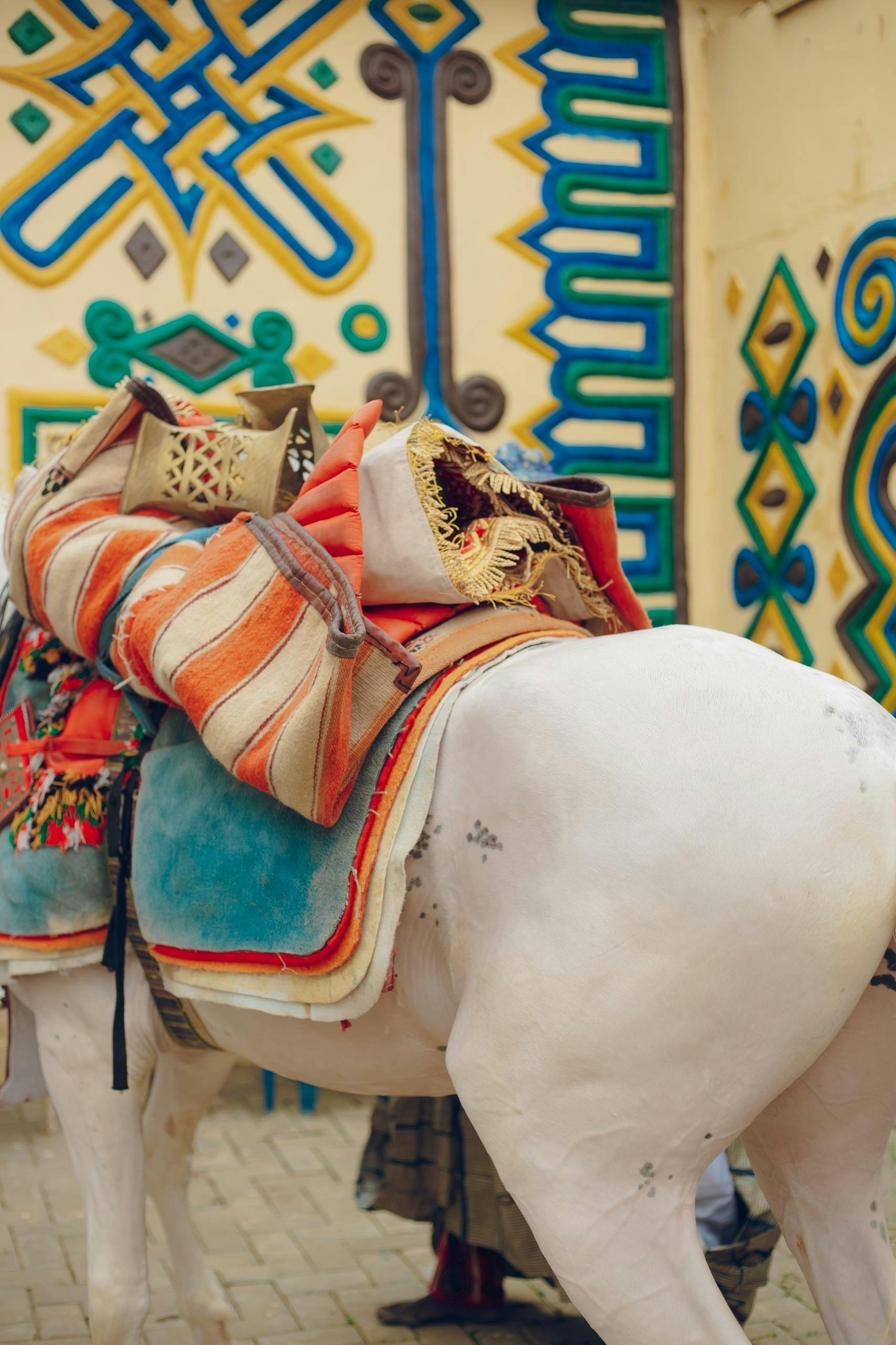 A vibrant image of a white horse with colorful saddle blankets against geometric traditional patterns.
