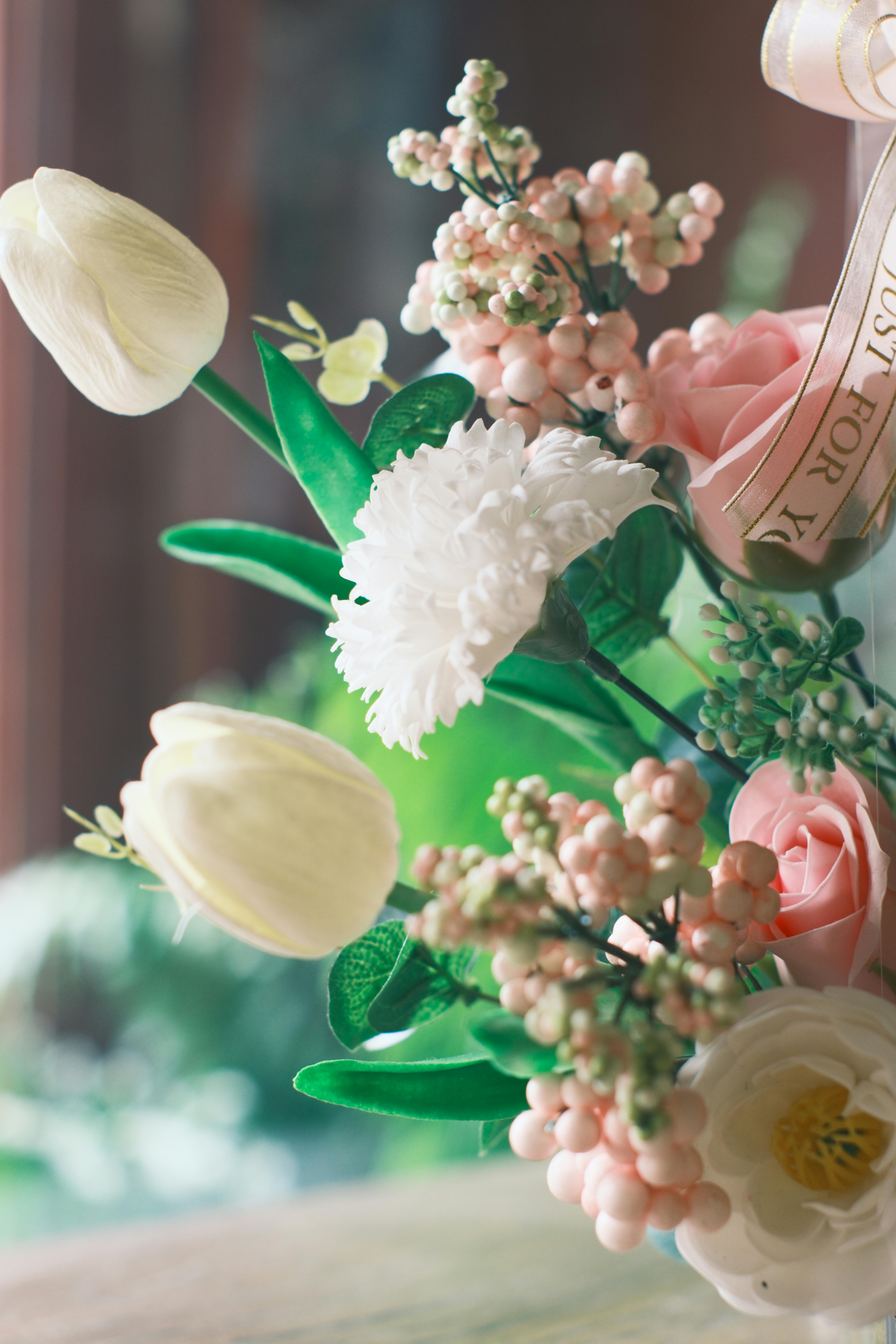 Tulips Aesthetic Photos, Download The BEST