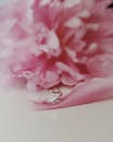 一枚优雅的银戒指搭在粉色牡丹花瓣上，尽显浪漫与美丽