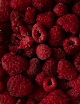 Stretch Island Fruit Original Raspberry .49oz