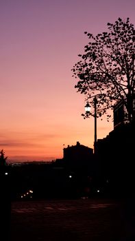 Silhouette of urban tree and street lamp at twilight with vivid sky colors.