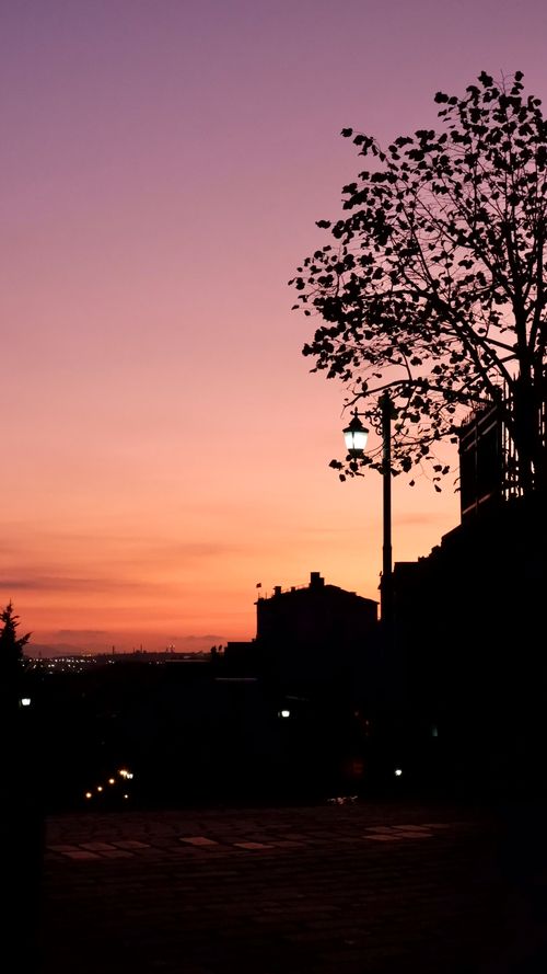 Free Silhouette of urban tree and street lamp at twilight with vivid sky colors. Stock Photo