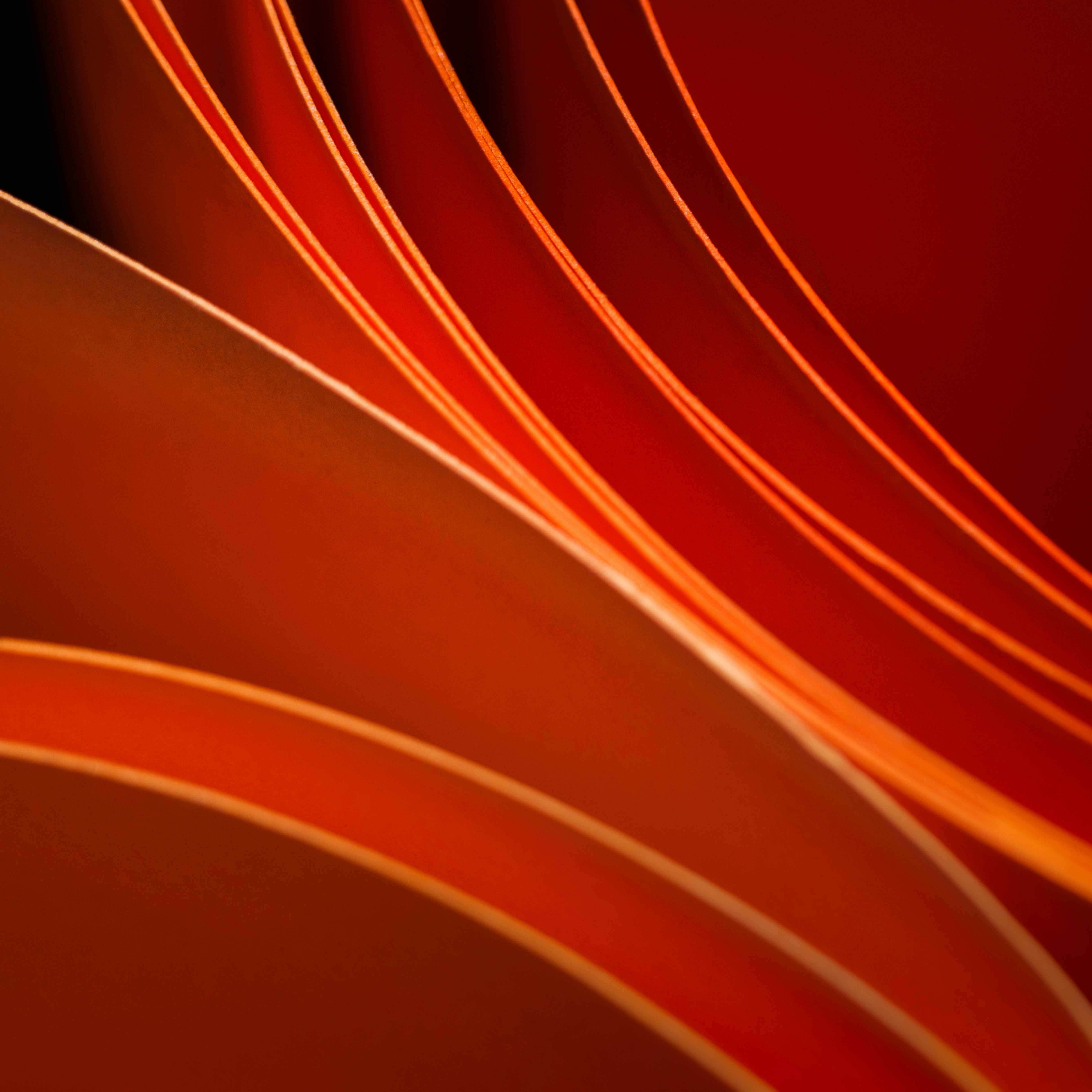 Kostenlos Abstraktes Bild mit eleganten Wellen aus rotem und orangefarbenem Papier, das ein minimalistisches und modernes Design schafft. Stock-Foto