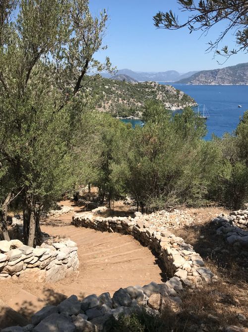 Free A winding stone path through olive trees leads to a stunning seaside view with sailboats. Stock Photo