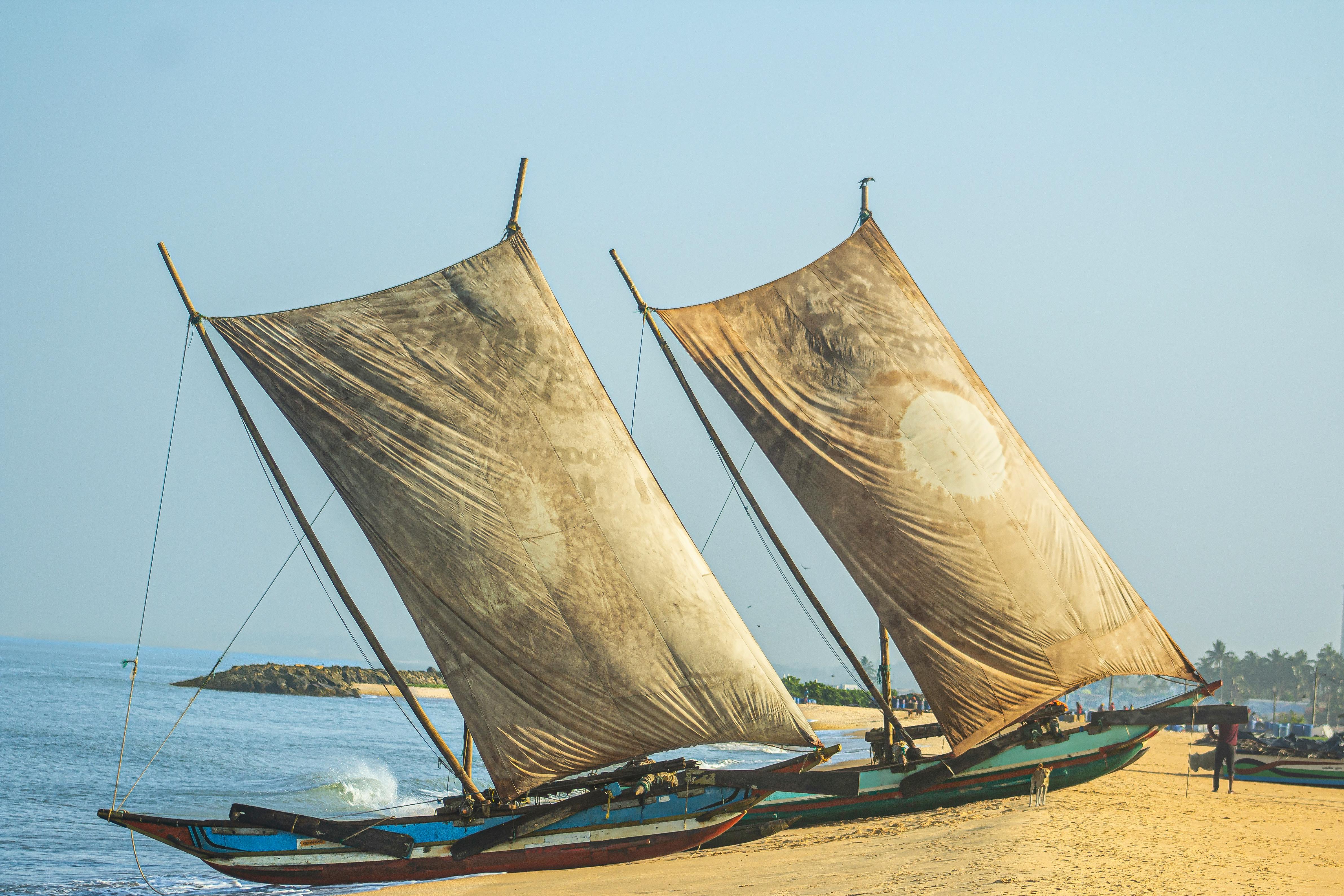 Stunning view of traditional fishing boats with large sails on Negombo beach, Sri Lanka, under clear skies.