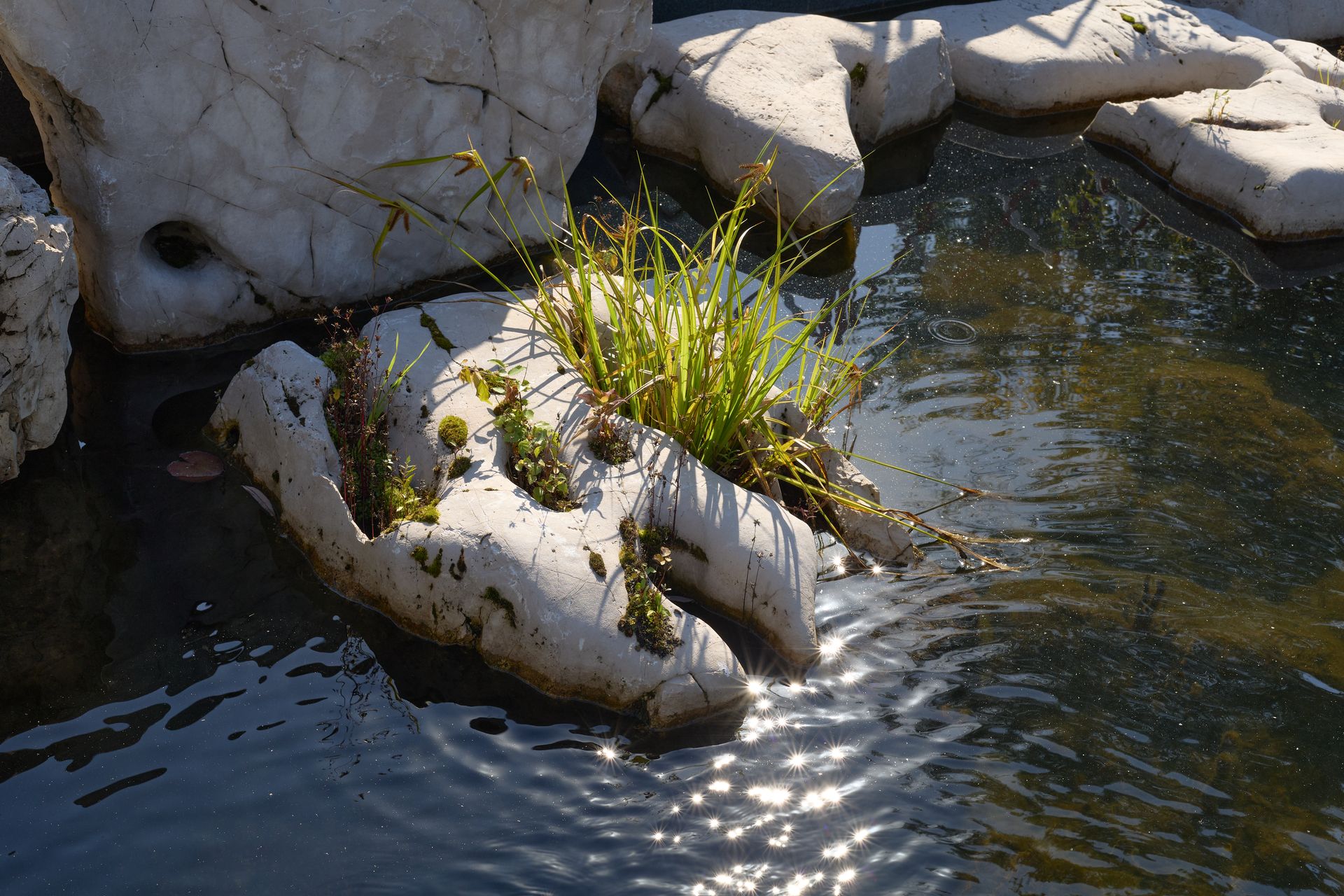 Serene garden setting with sunlit water and rocks in Moscow park.