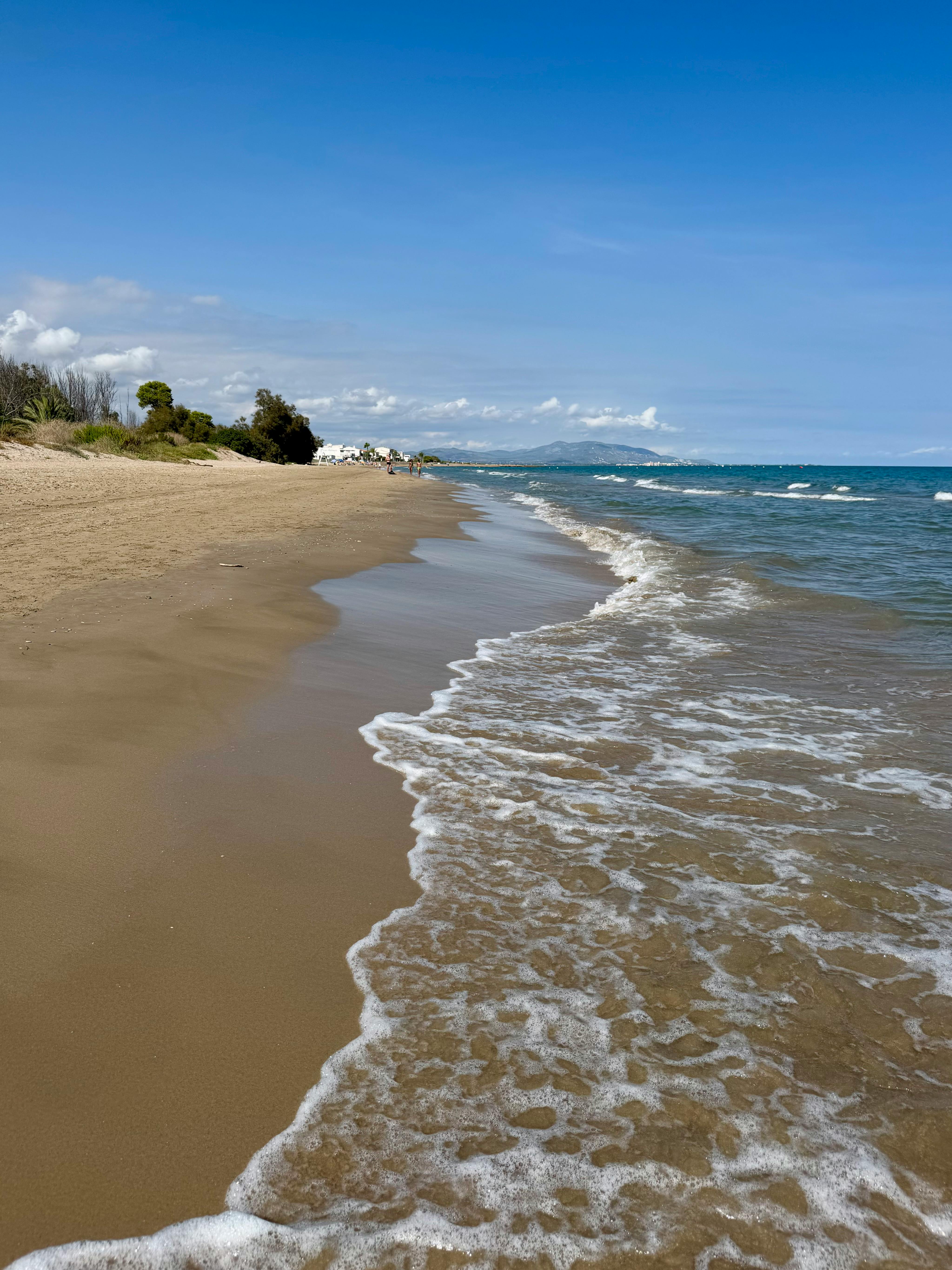 Nude+Beach+Gifs Photos, Download The BEST Free Nude+Beach+Gifs Stock