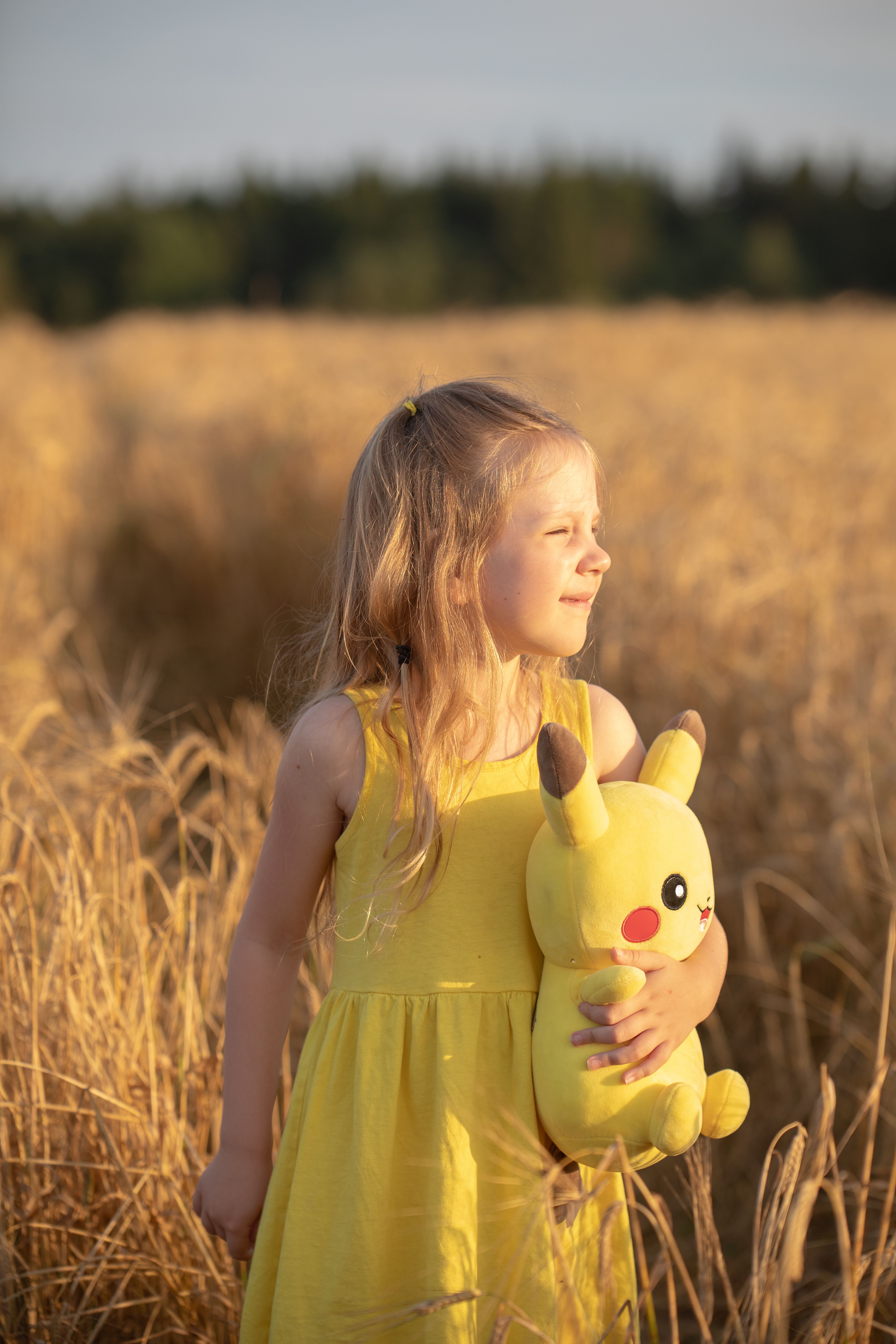 Pikachu Doll Photos, Download The BEST Free Pikachu Doll Stock Photos & HD  Images