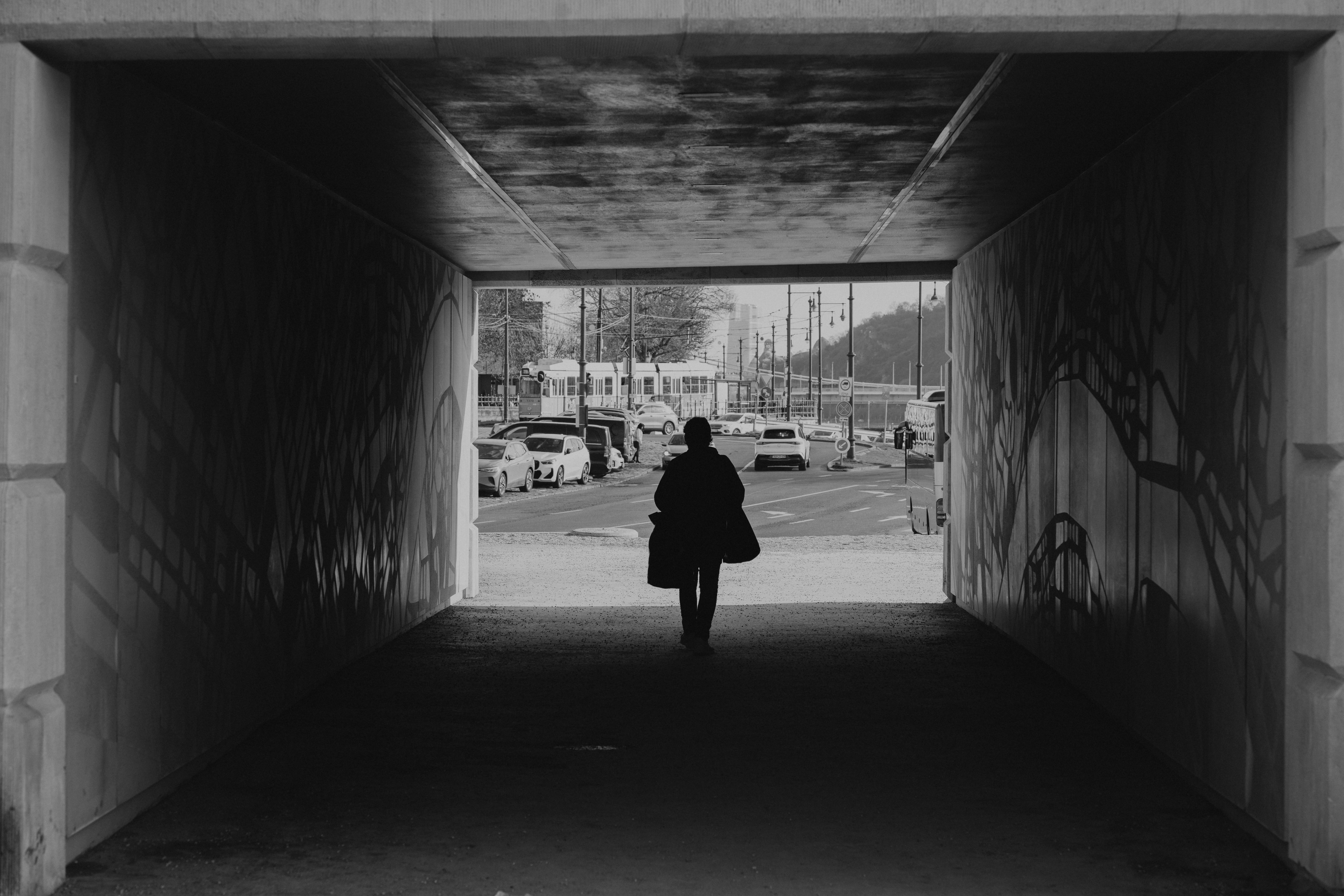 Unlocking Secret Melodies Unknown to Science