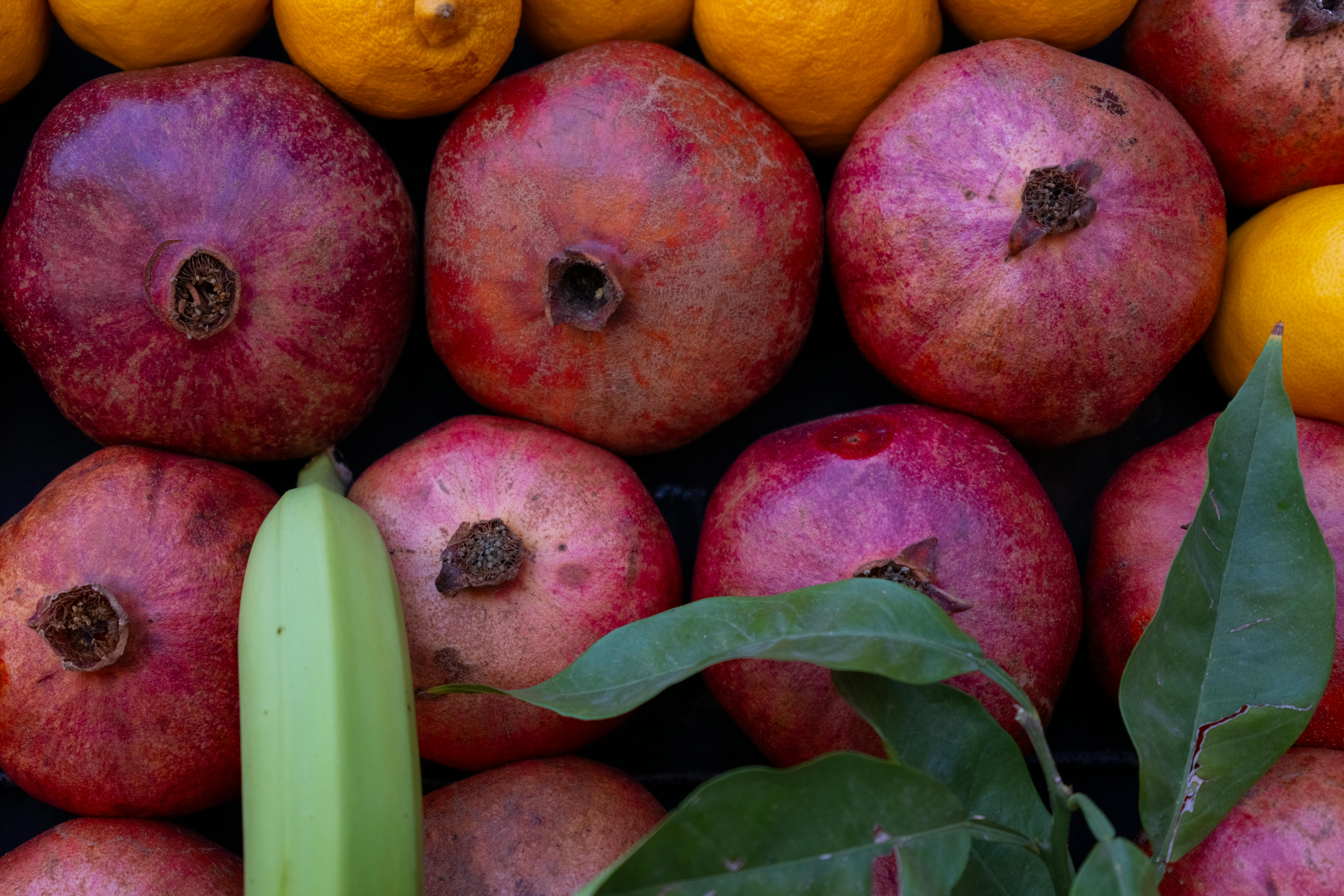 Revolutionary Diet Tips for Weight Loss with Plant-Based Diets