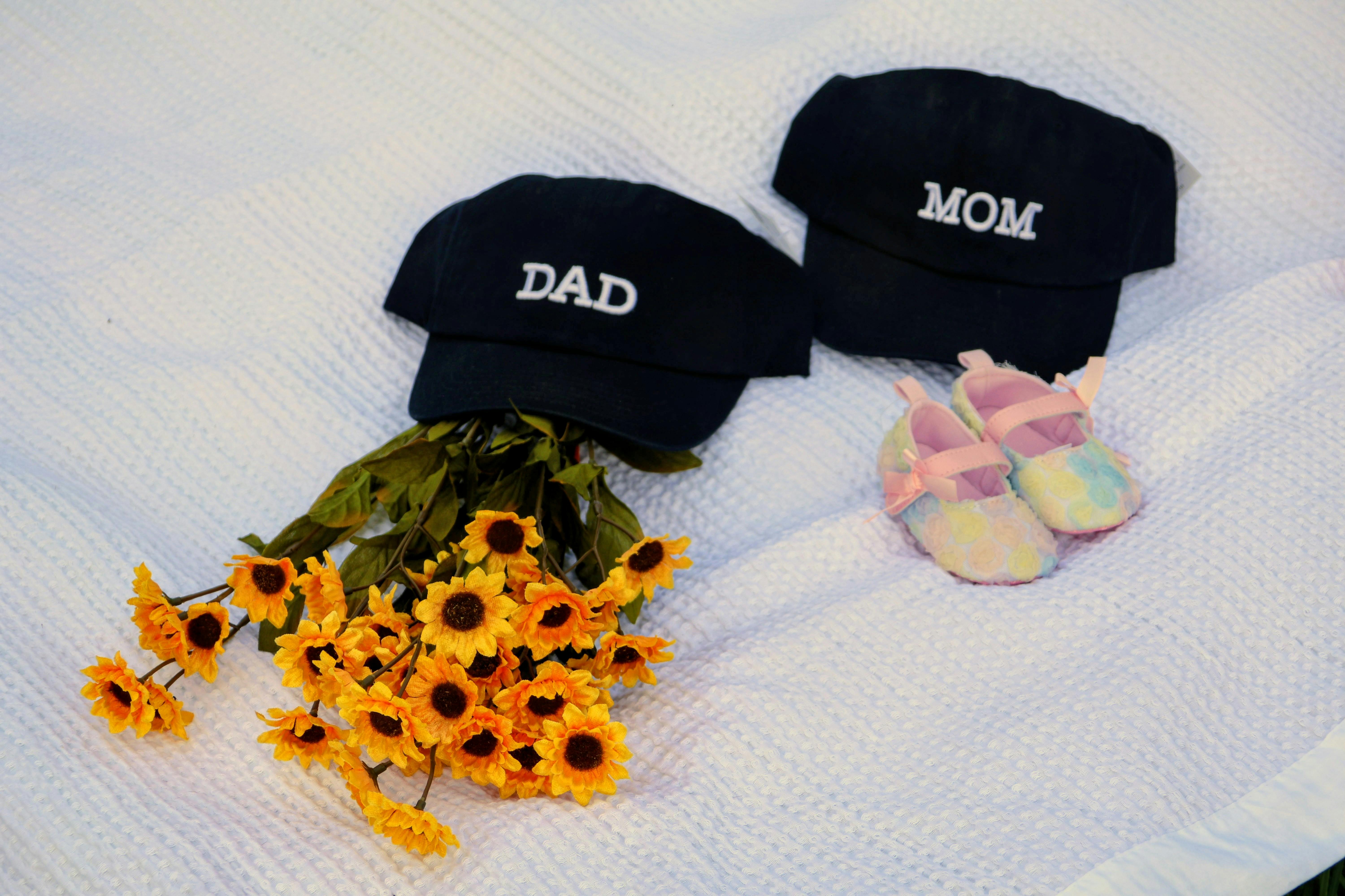 Scientific Evidence and Mechanisms from Harvard Research