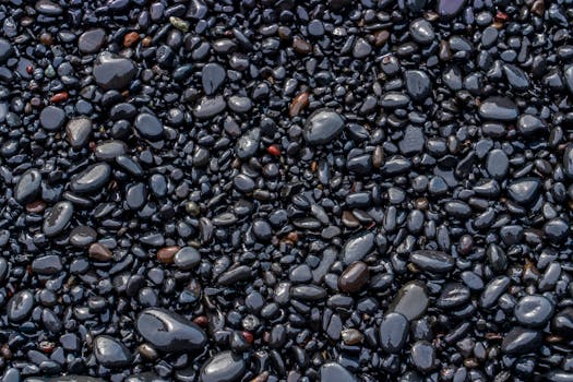 A close-up view of smooth, wet black pebbles on a shoreline, perfect for natural backgrounds.