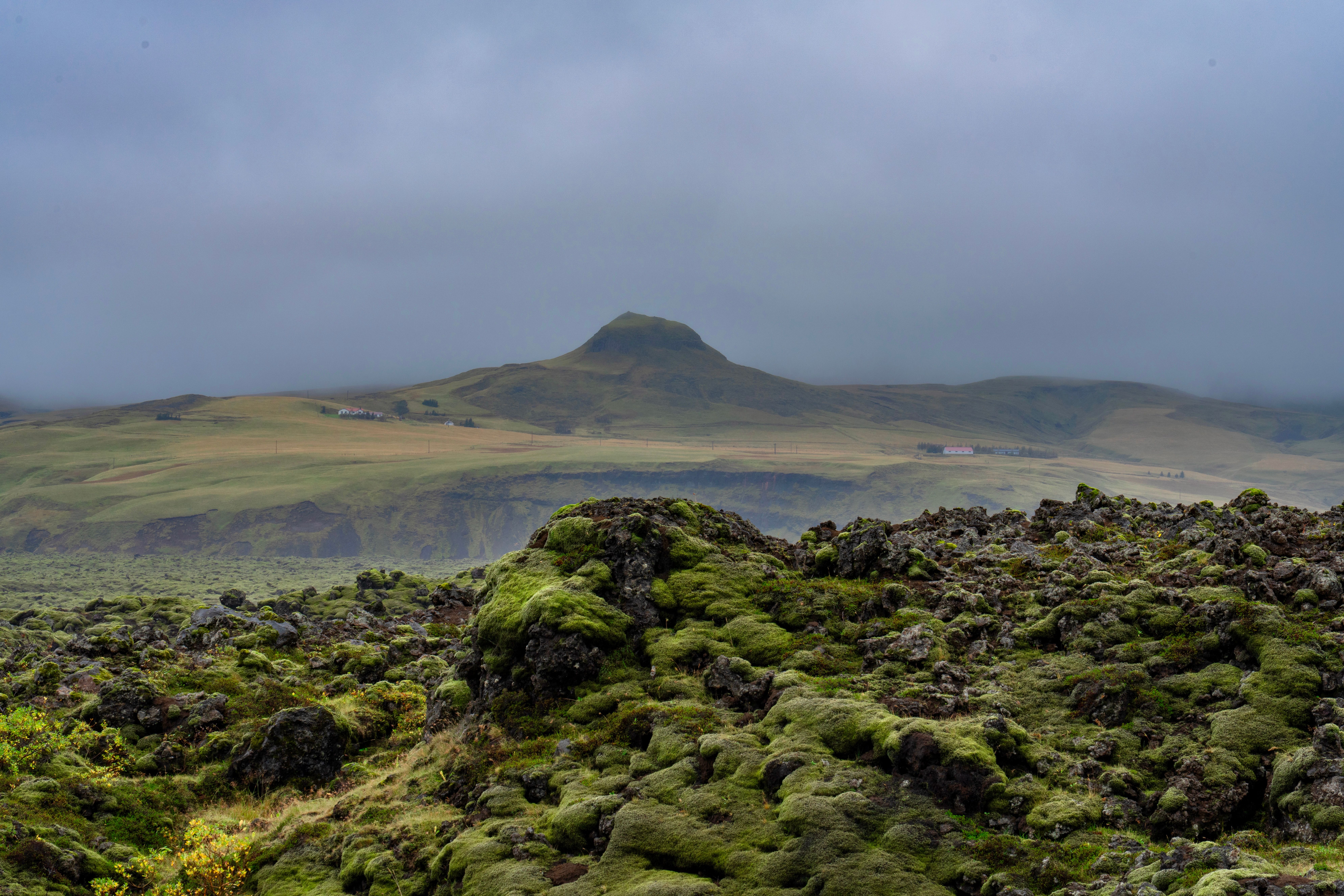 Impact of US Election on Iceland's Economic Landscape