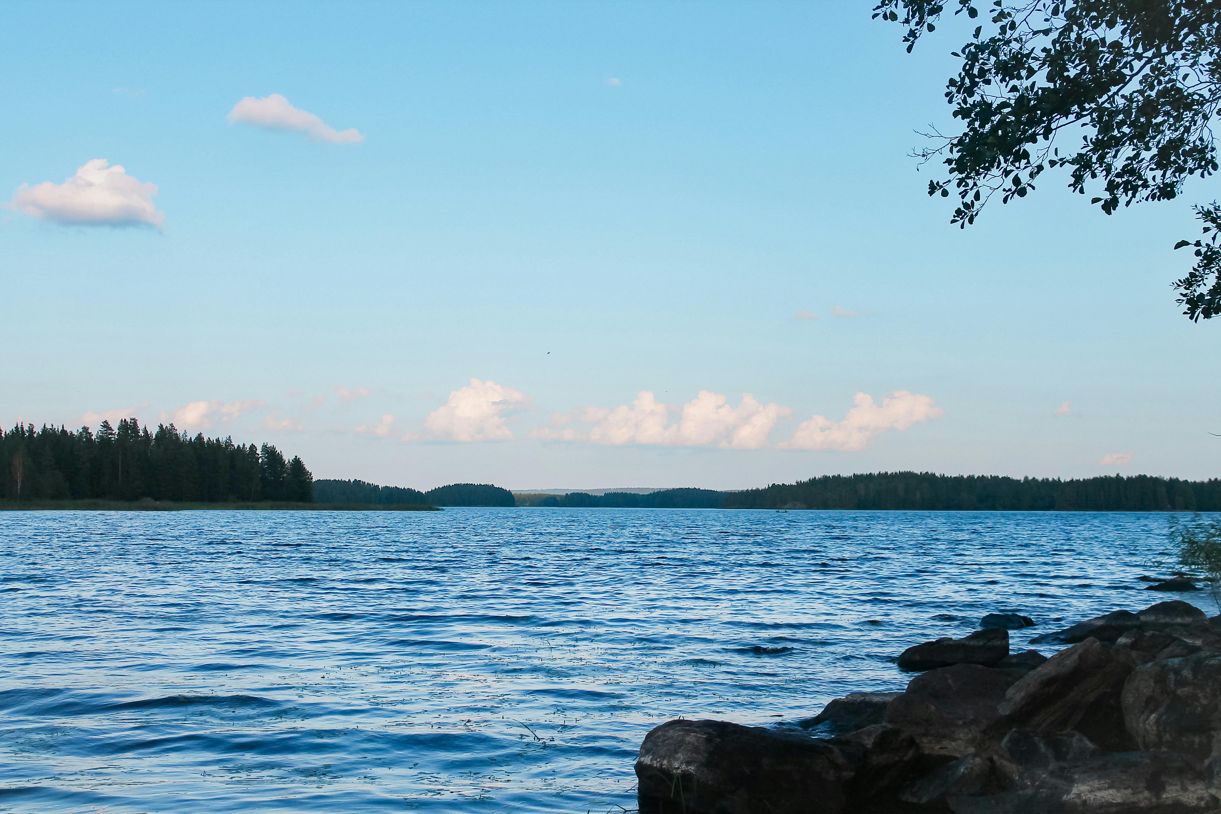 政治：中央社徵芬蘭特約記者引熱議 學者質疑討好林昶佐意圖