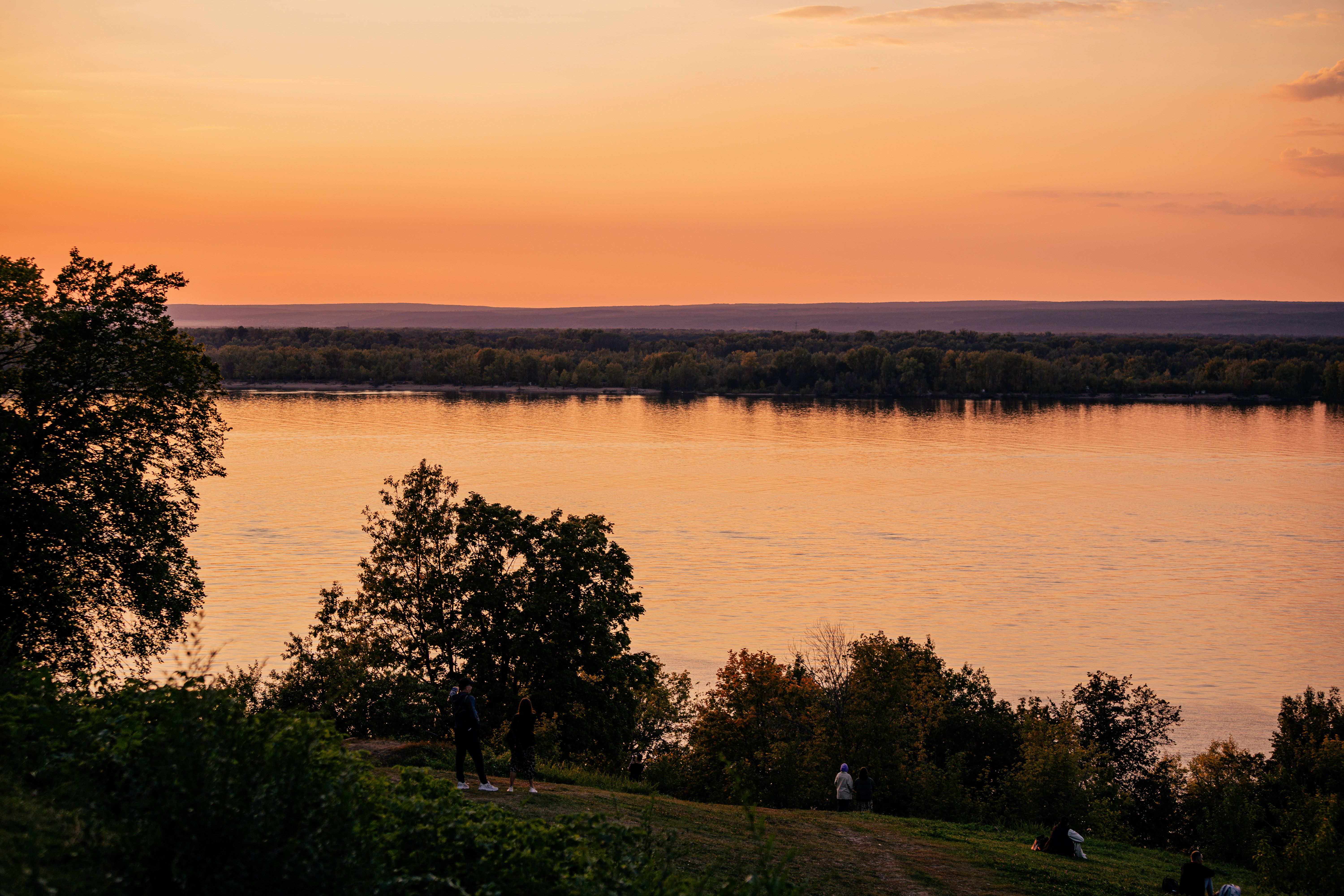 Serene Sunset Over River with Silhouetted Trees · Free Stock Photo