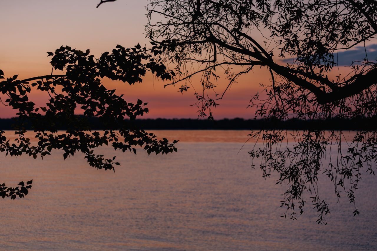 tranquil sunset view over a lake framed by tree silhouettes and colorf