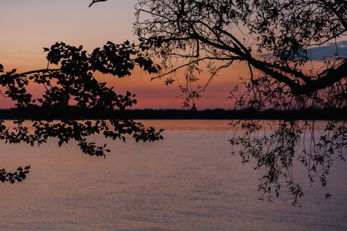 Free Tranquil sunset view over a lake framed by tree silhouettes and colorful sky. Stock Photo