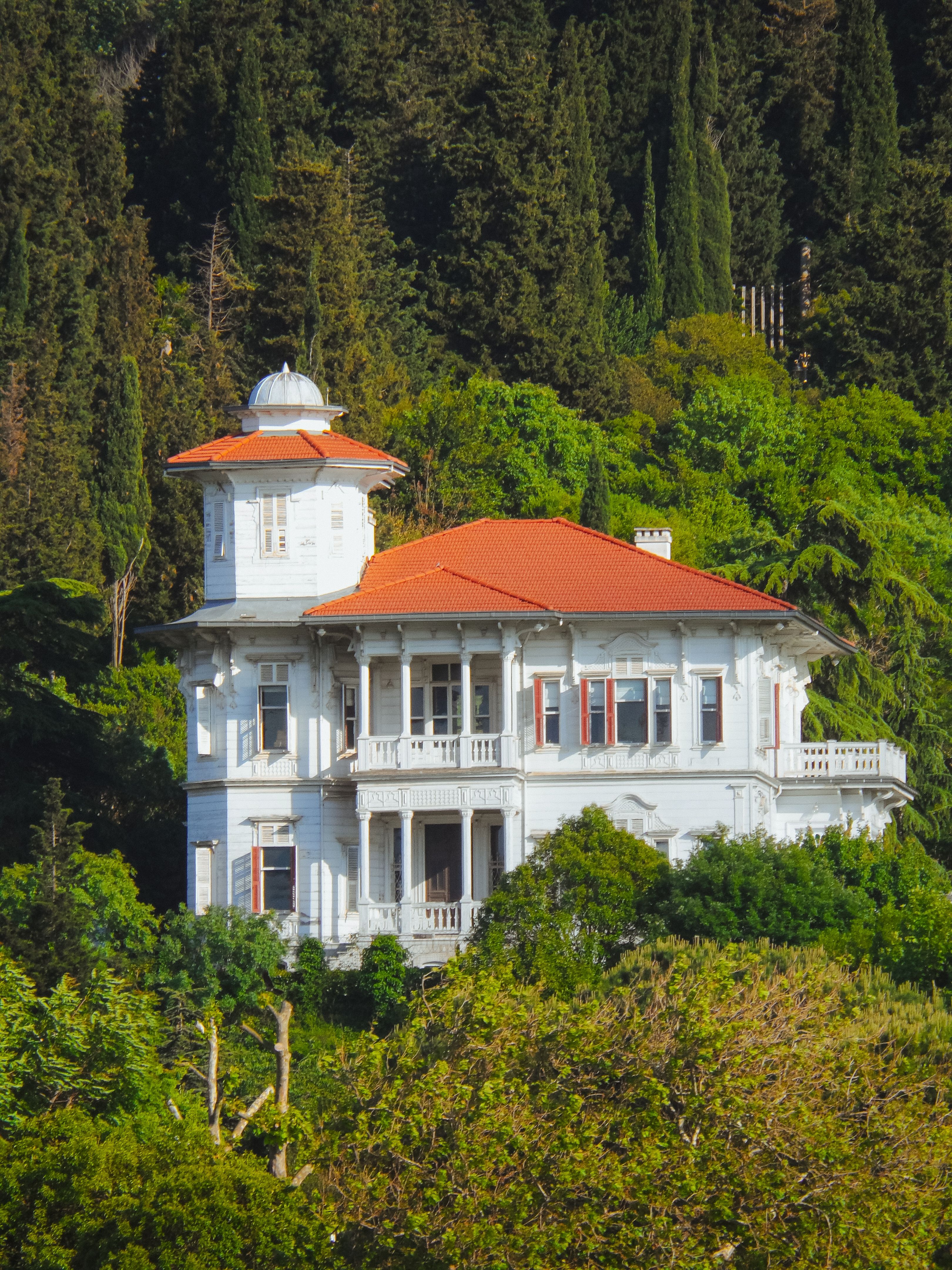A historic Southern mansion surrounded by greenery