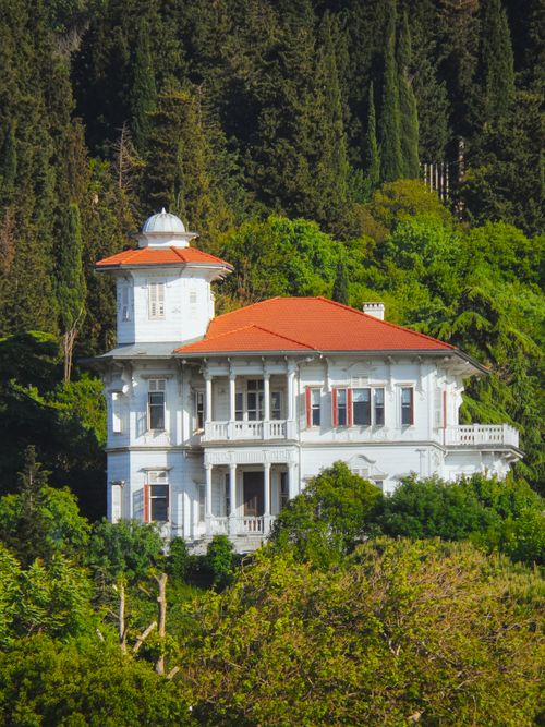 Free A beautiful white mansion with red roof amidst dense green forest, exuding classic elegance. Stock Photo