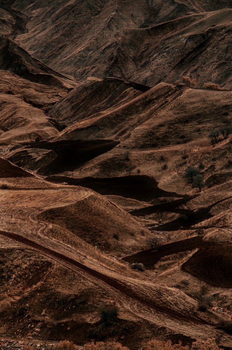 River In A Desert Land