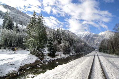 Immagine gratuita di alberi, alpi, austria