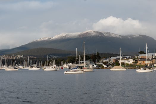 Wellington, New Zealand photo 13