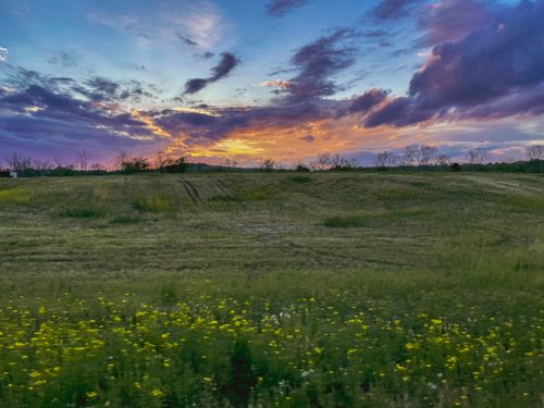 Free stock photo of a sunset in the field, aerial nature, beautiful sunset Stock Photo