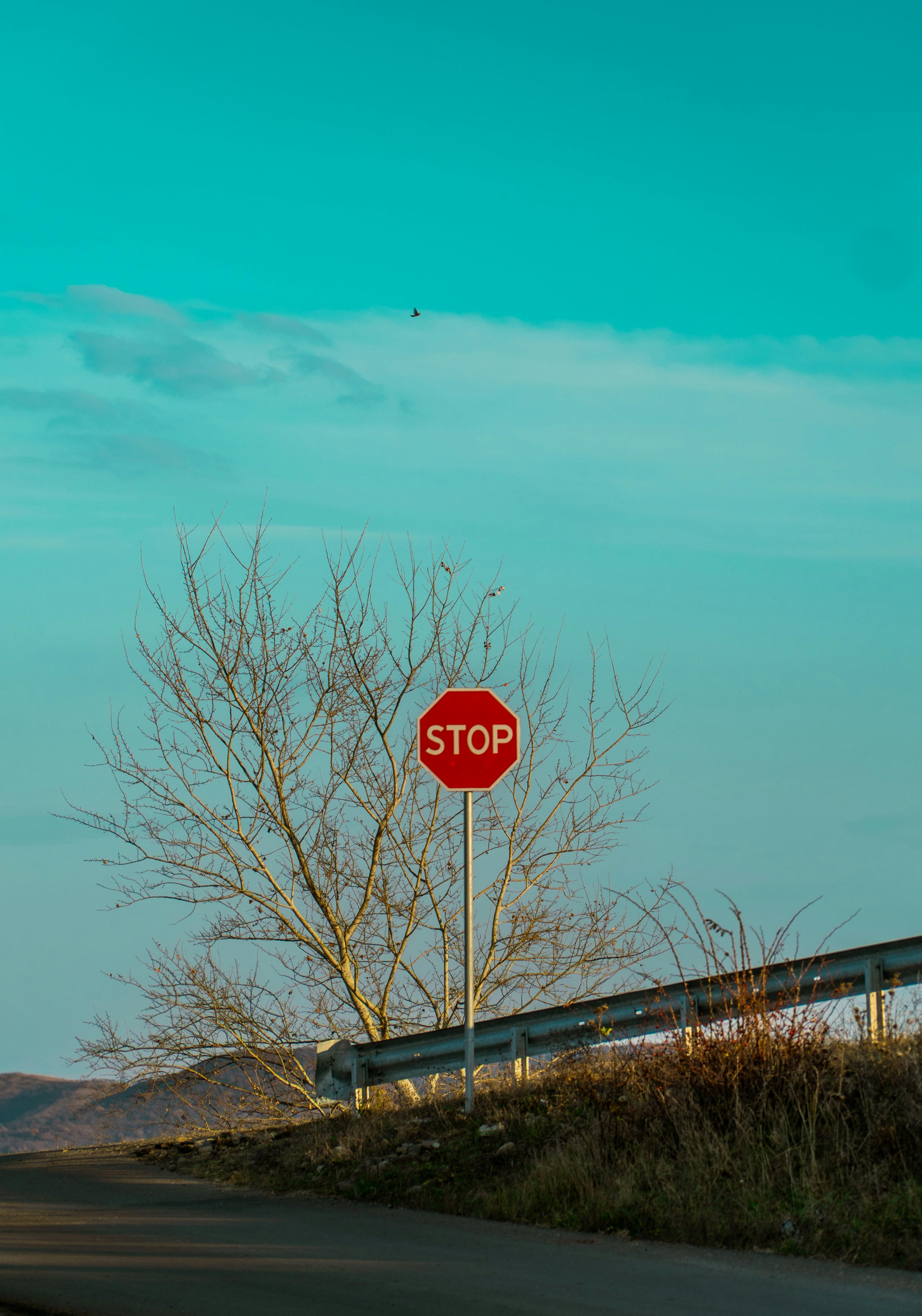 grátis Uma vista panorâmica de um sinal de parada com uma árvore sem folhas e céu limpo, perfeito para temas de transporte. Foto profissional