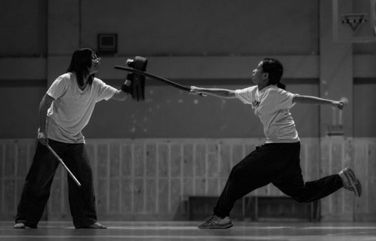 Two people engaging in martial arts practice indoors, showcasing dynamic movement.