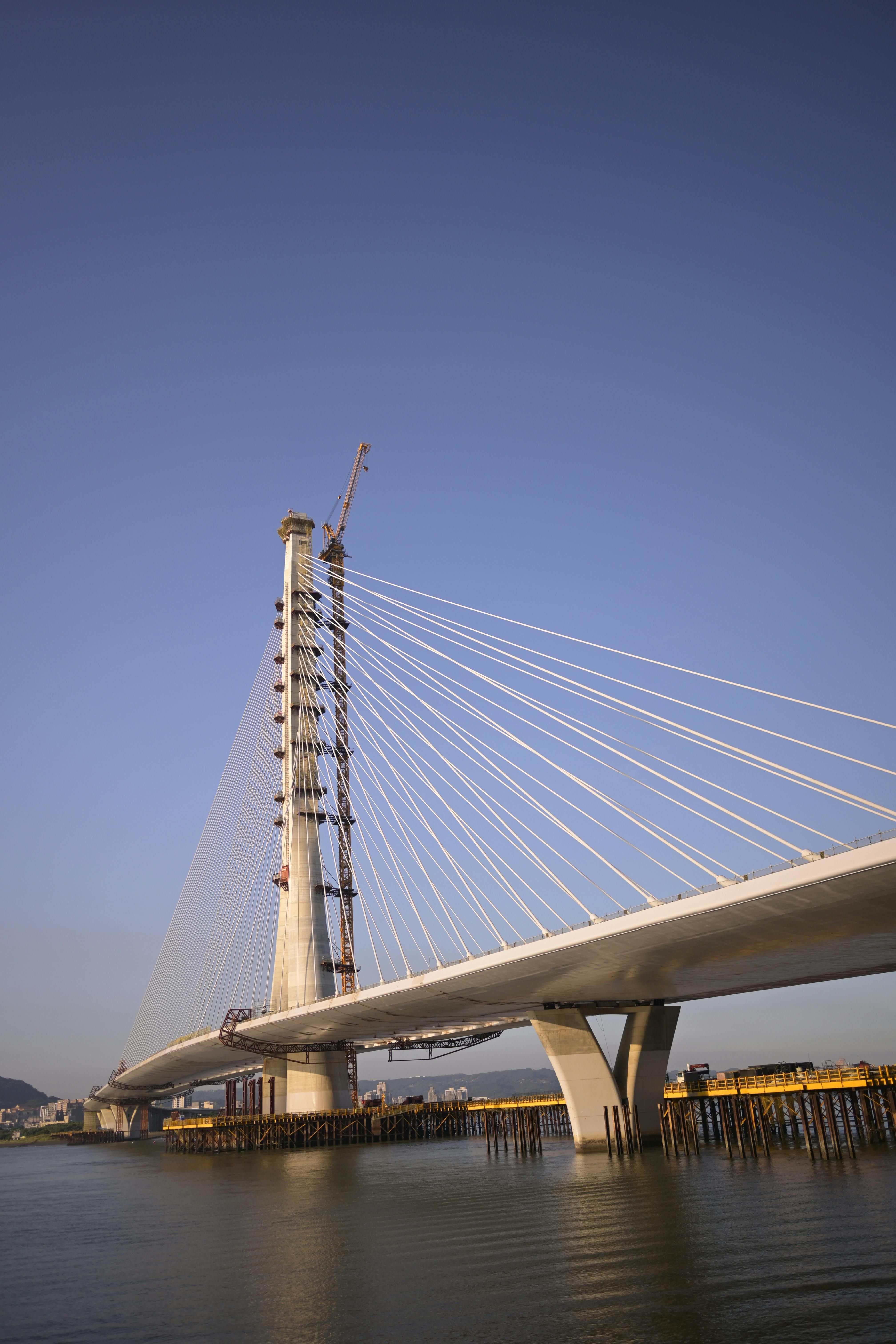 一晚慘賠2.2億！台彩停賣「1彩券」的真相 🤯💸