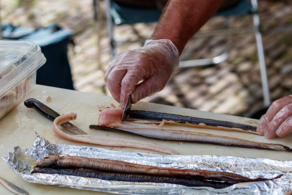 A photo evocative of Ensopado de enguias, a Portuguese dish.