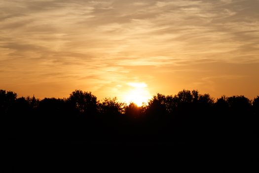 A peaceful sunset behind a silhouette of trees, casting a warm glow in the sky.
