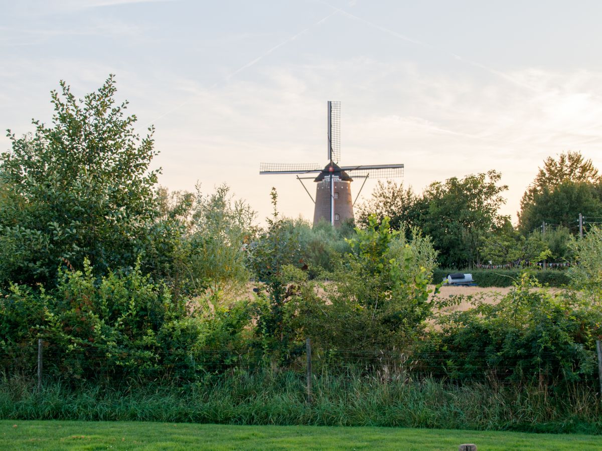 4 Day Yoga Vipassana Retreat by DSY in the Netherlands 1