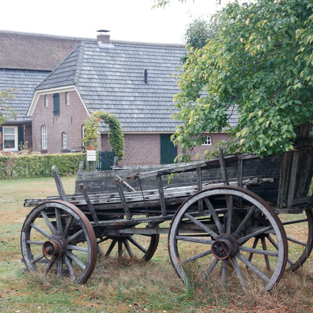 Askham Bryan — man and van team loading a removal van