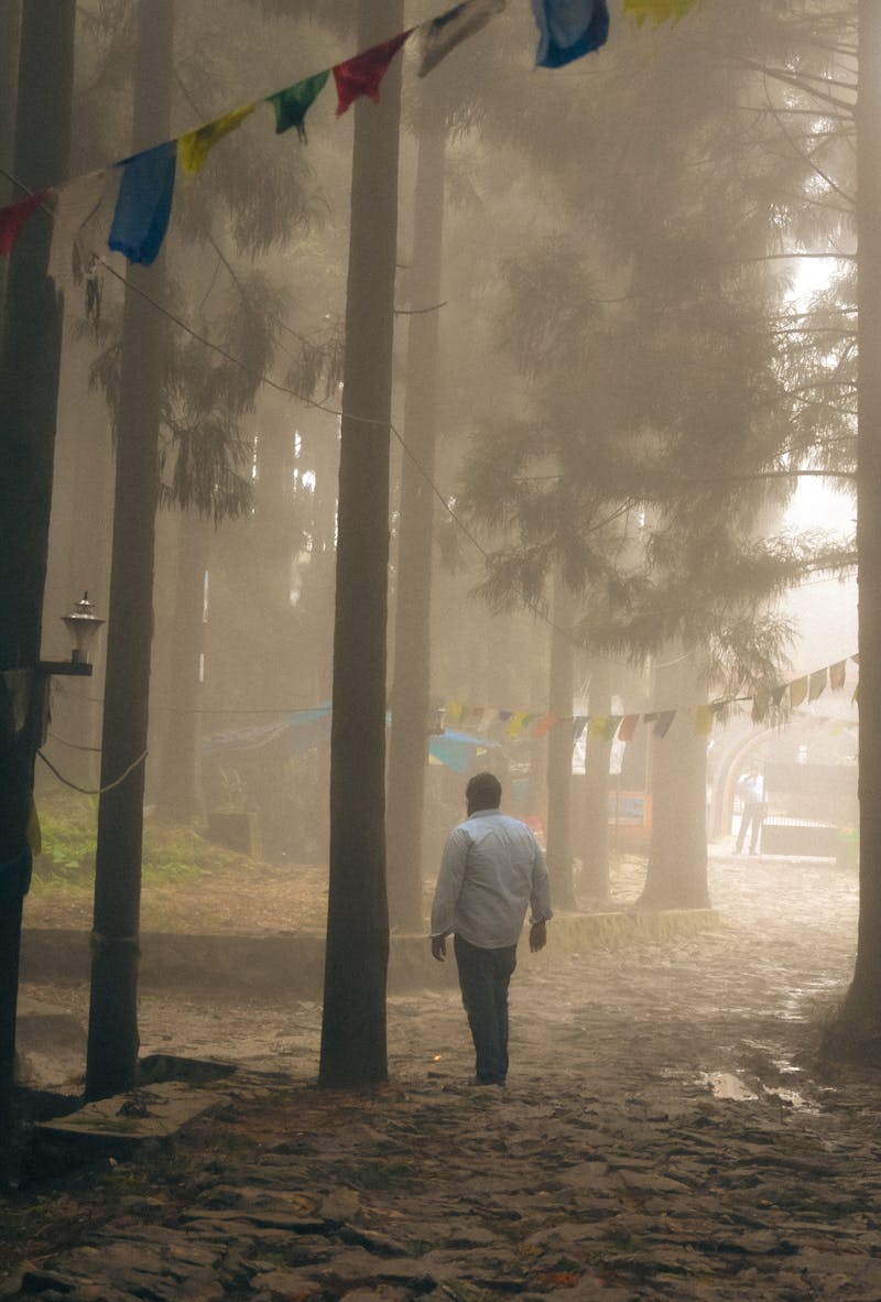 Slow+Reverse+Cowgirl+4k Photos, Download The BEST Free Slow+Reverse ...