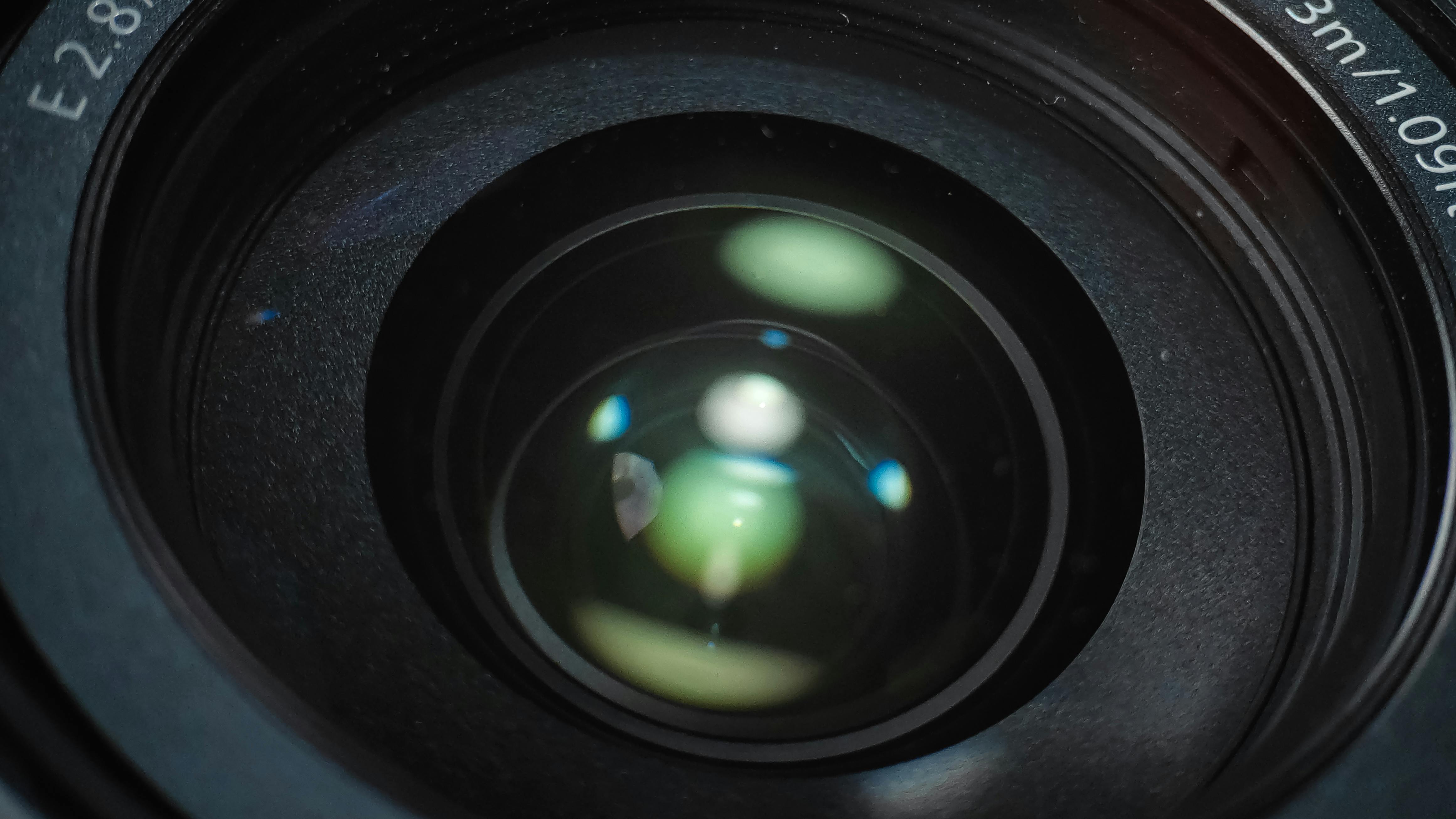 Pam+Bondi+Bikini+Pictures+ Photos, Download The BEST Free Pam+Bondi ...