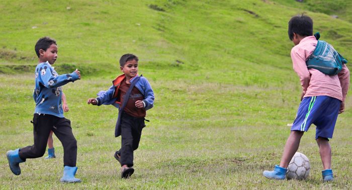Children playing soccer together on a grassy field
