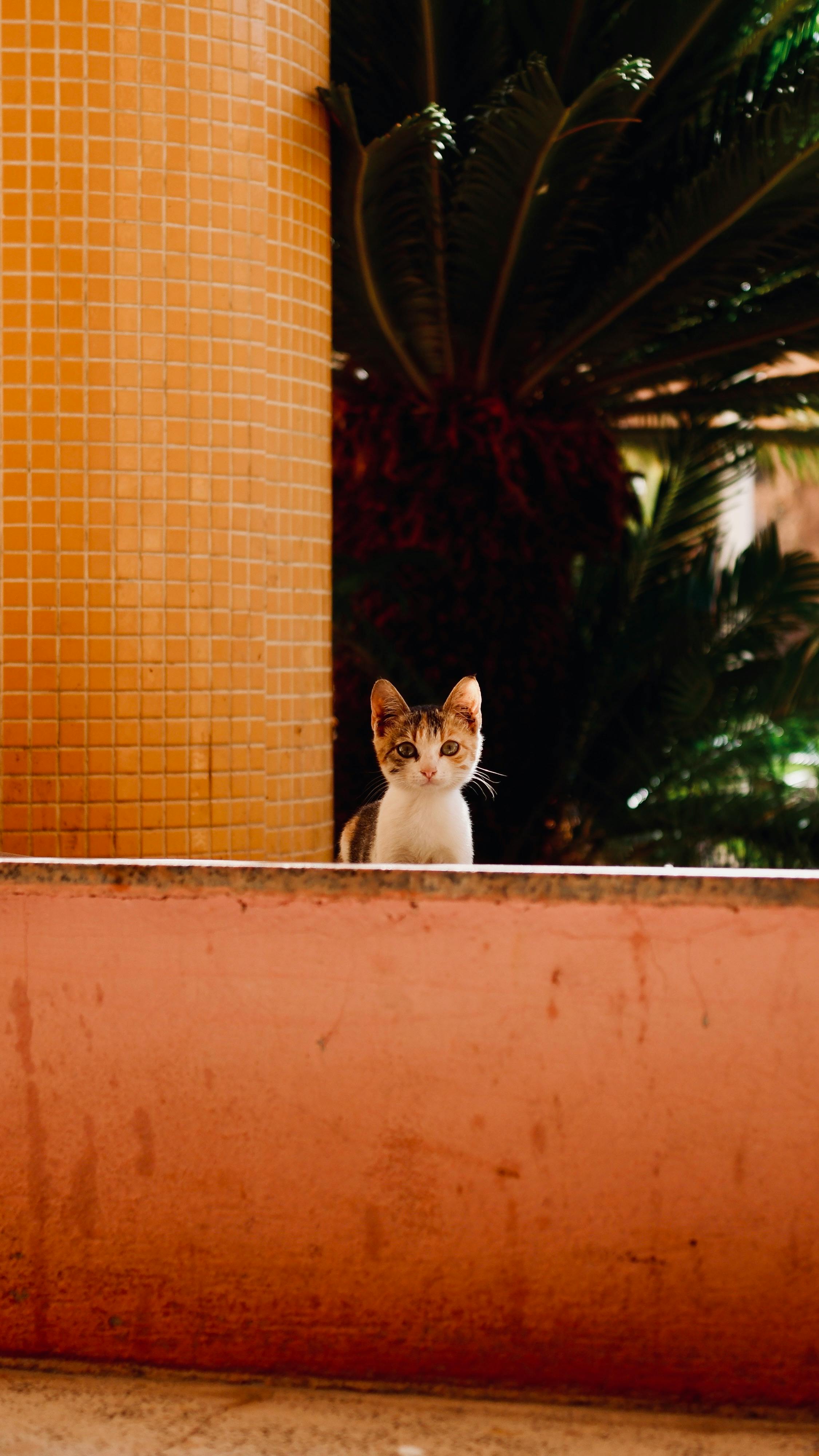 Cute Butt Photos, Download The BEST Free Cute Butt Stock Photos & HD Images