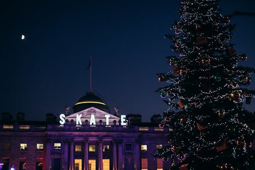 House by Christmas Tree during Nighttime