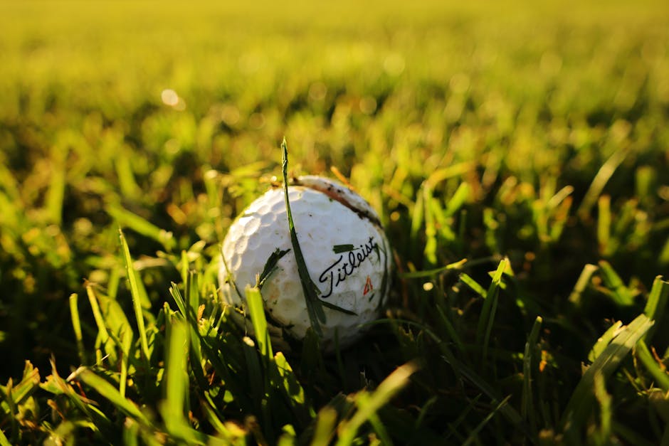 台灣知名老虎機遊戲:開啟78ok電子娛樂新體驗 台灣知名老虎機遊戲:開啟78ok電子娛樂新體驗