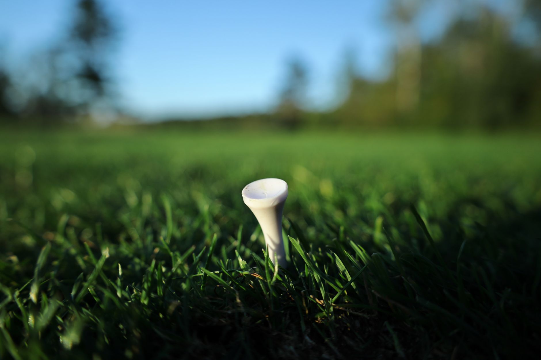 Best Golf Tees (2026)