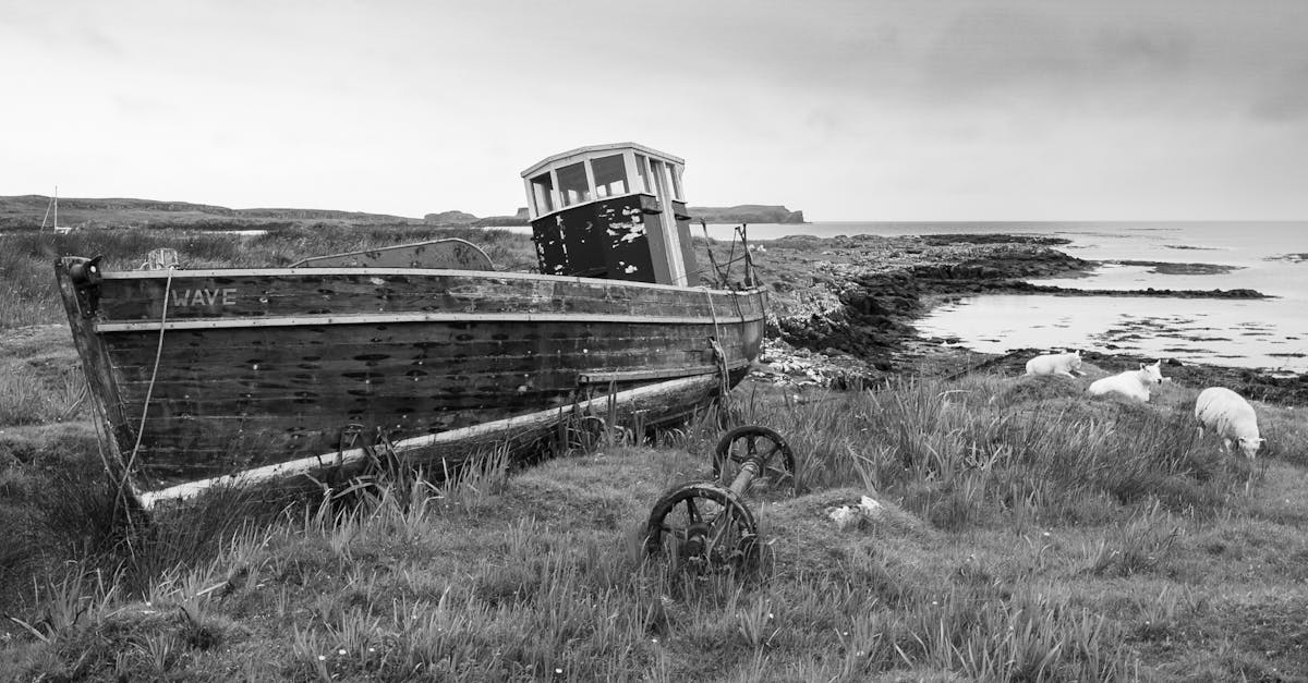 喬納森·德魯恩談島嶼生活:迎接令人興奮的新時代