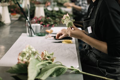 Gratis lagerfoto af arbejdsbord, blad, blomst