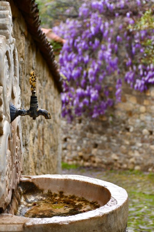 Free Charming stone fountain beside purple wisteria on a rustic stone wall. Stock Photo