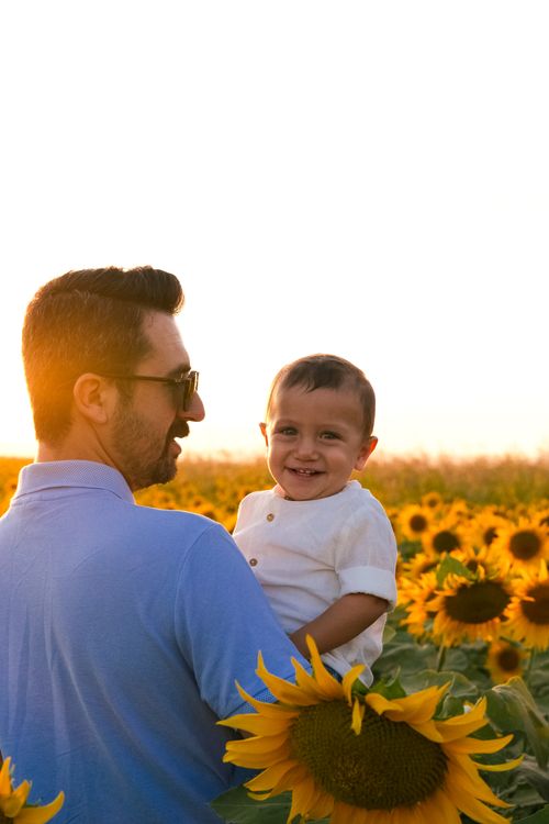 Free A joyful father holding his child in a vibrant sunflower field at sunset. Stock Photo