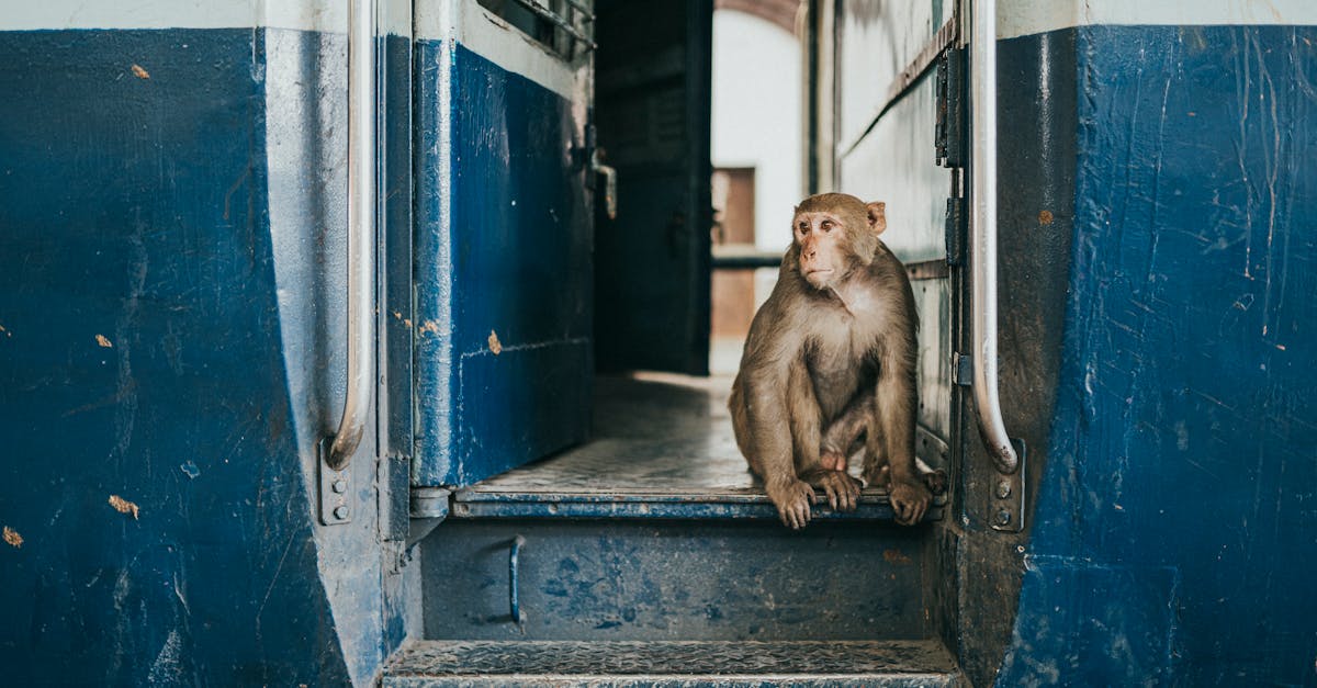 夫妻因政治立場激烈爭吵導致離婚,丈夫帶小孩旅行後失聯