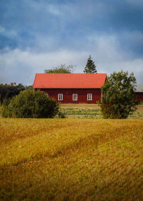 Free A picturesque red barn amidst golden autumn fields under a cloudy sky. Stock Photo