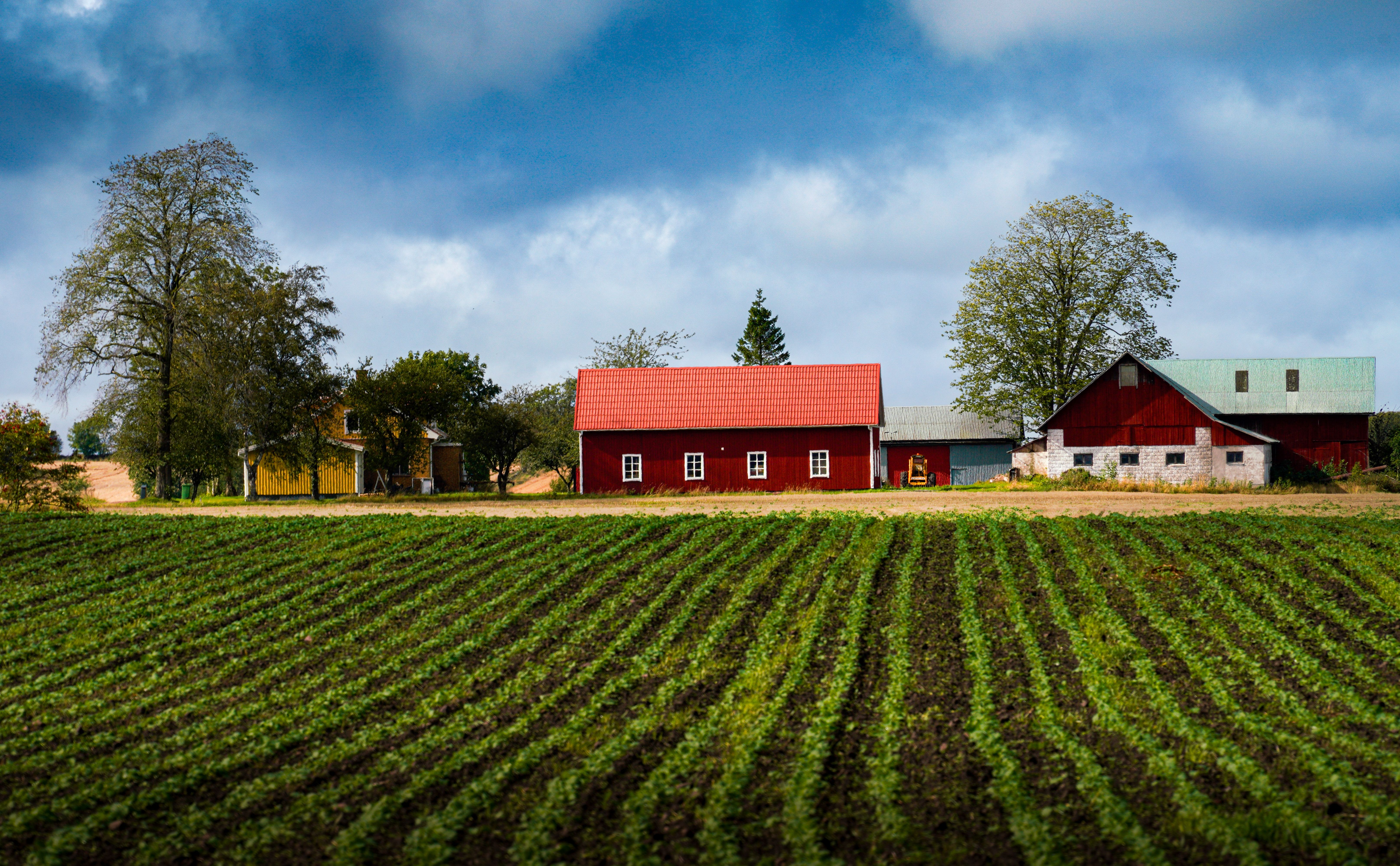 Scenic Rural Farm Landscape with Red Barns · Free Stock Photo