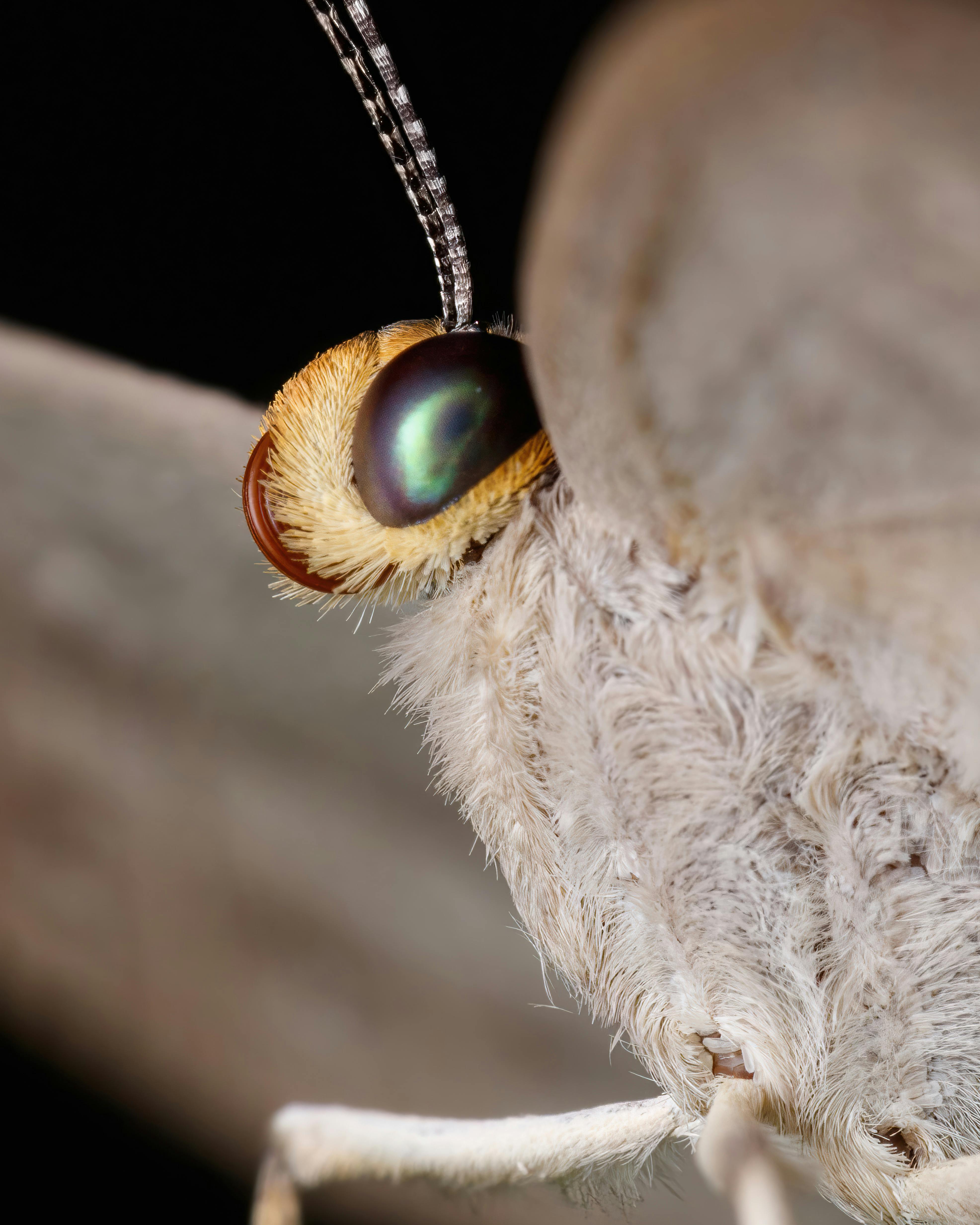 Cele Mai Bune 300 000 Fotografii Cu Tema Imagini cu pizde goale i Cele Mai Bune 300 000 Fotografii Cu Tema Imagini cu pizde goale i