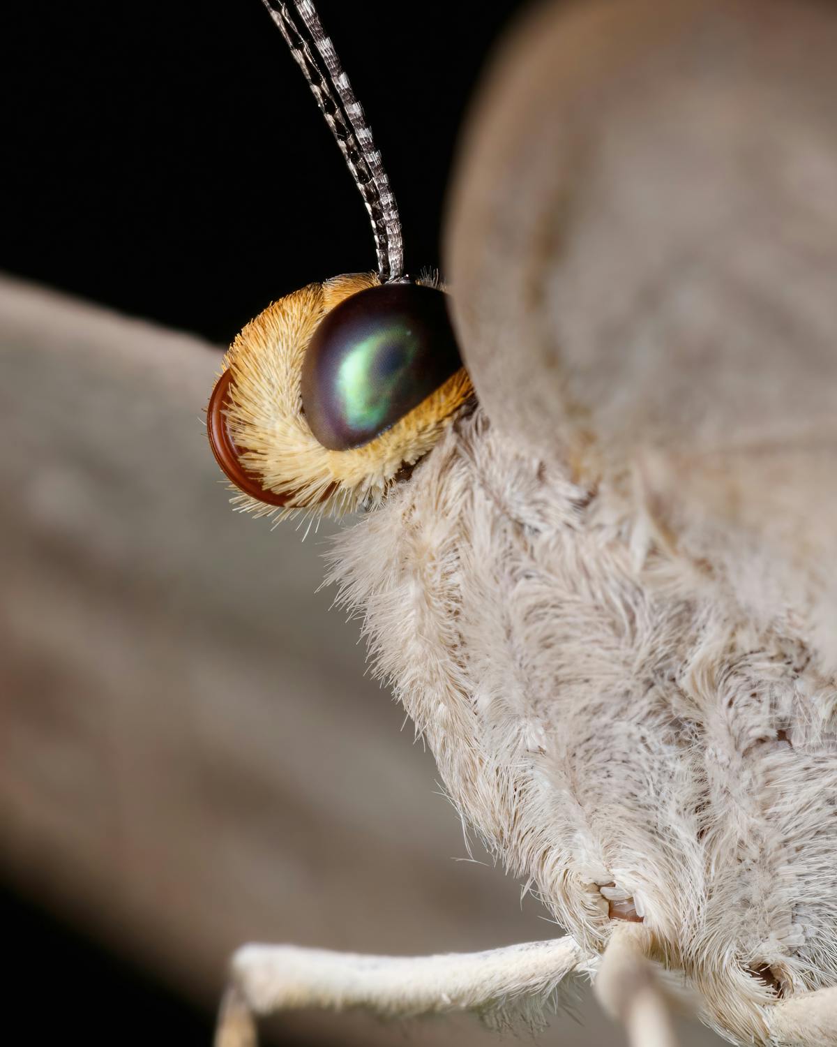 Photos+الأخبار+العاجلة Photos, Download The BEST Free Photos+الأخبار ...